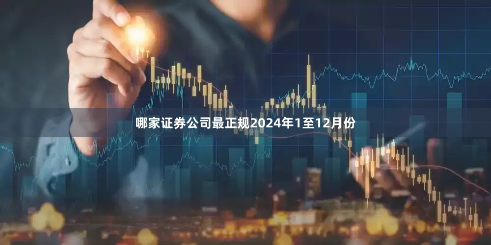 哪家证券公司最正规　　2024年1至12月份