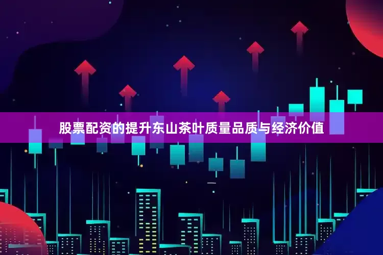 股票配资的提升东山茶叶质量品质与经济价值