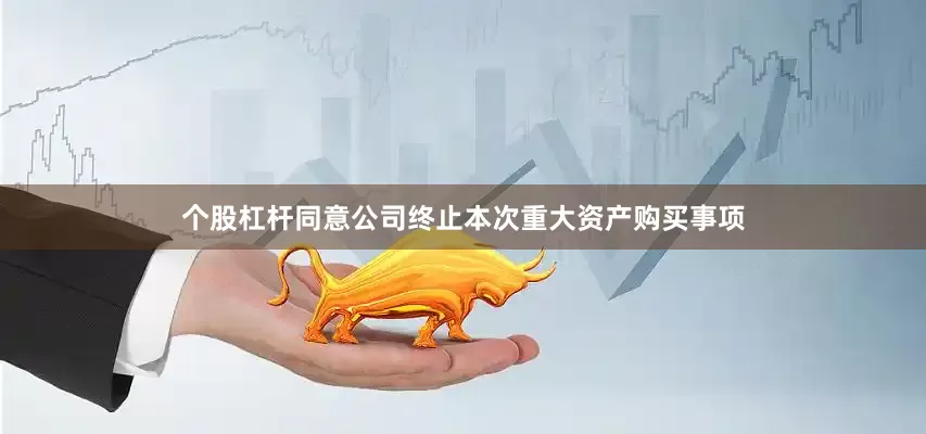 个股杠杆同意公司终止本次重大资产购买事项